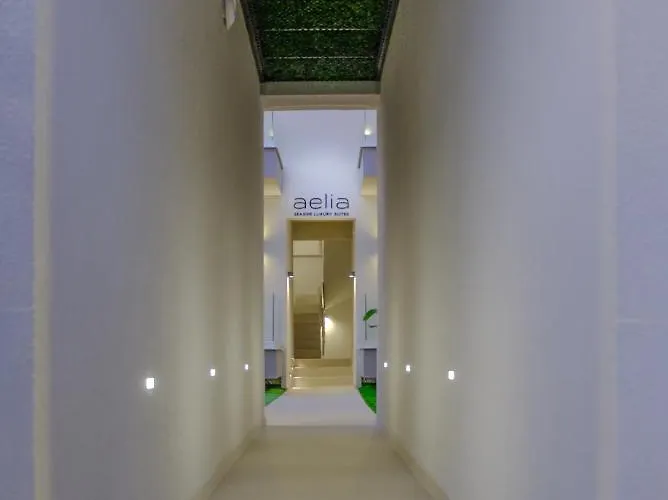 Ξενοδοχείο Aelia Seaside Luxury Νέα Καρβάλη
