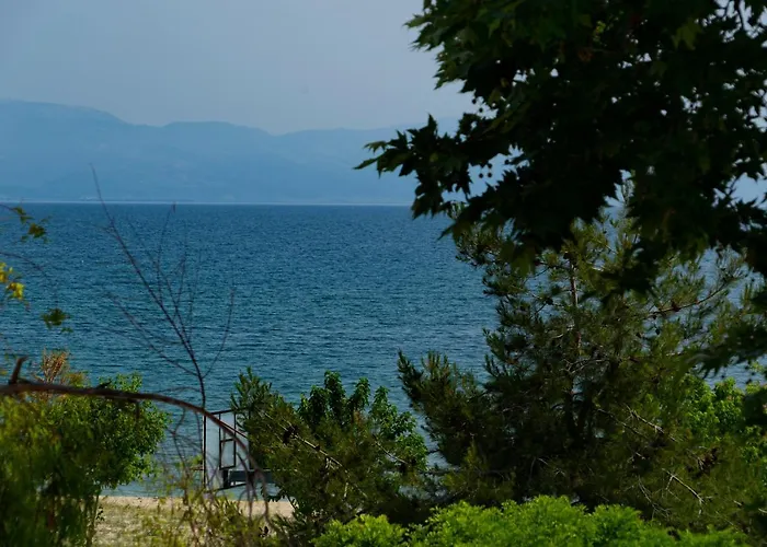 Ξενοδοχείο Aelia Seaside Luxury *